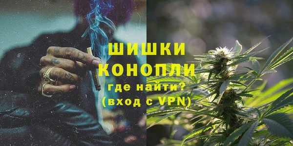 стаф Бронницы