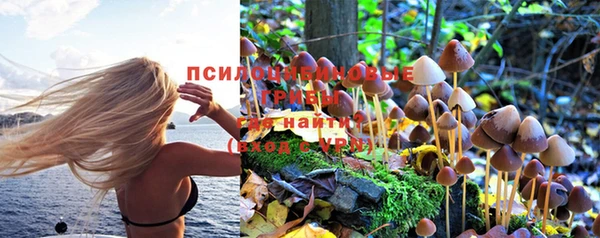 mdma Волоколамск