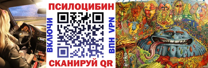 где купить наркоту  Иннополис  блэк спрут ССЫЛКА  Псилоцибиновые грибы GOLDEN TEACHER 